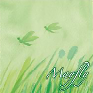 mayfly